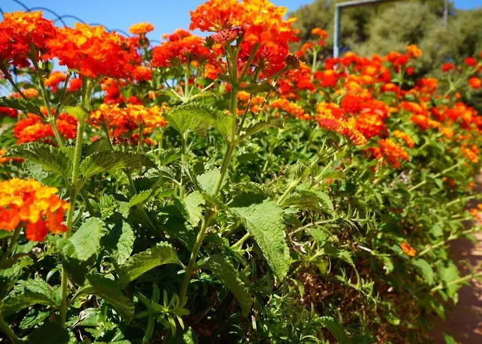 Volentina 빌라 포엔샤 항구